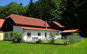 Haus im Grünen - Gmundennähe